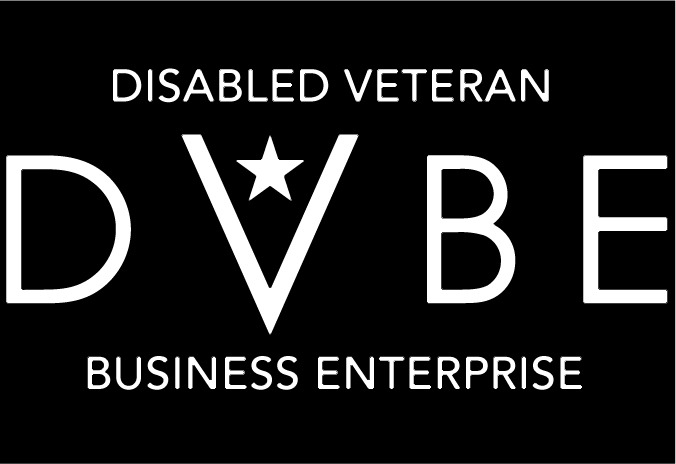 dvbe-100